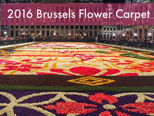 BRUSSELS FLOWER CARPET