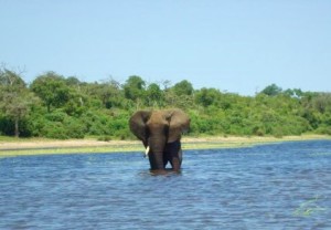 1923685_12151816617_5671_n (2)