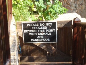 1934171_12126351617_1019_n