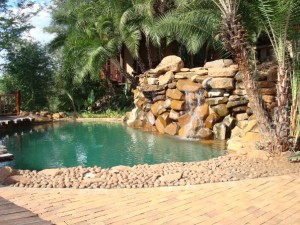 1934171_12126361617_2225_n