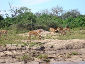 1934171_12128596617_7813_n