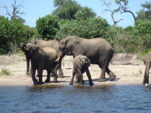 1934171_12128846617_4141_n