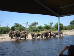 1934171_12129386617_1805_n