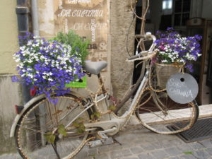 castel gandolfolo 260